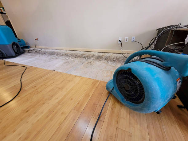 Professional Structural Drying technician working in Williamson, GA